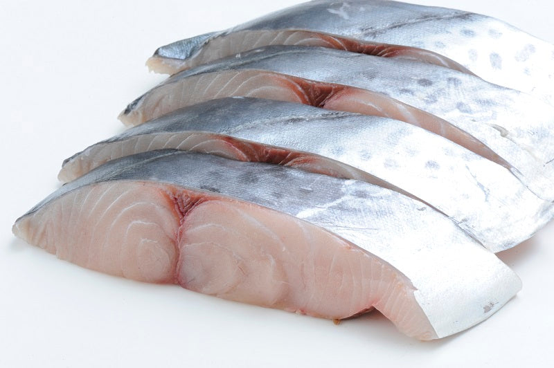 Sawara Spanish Mackerel FIllet