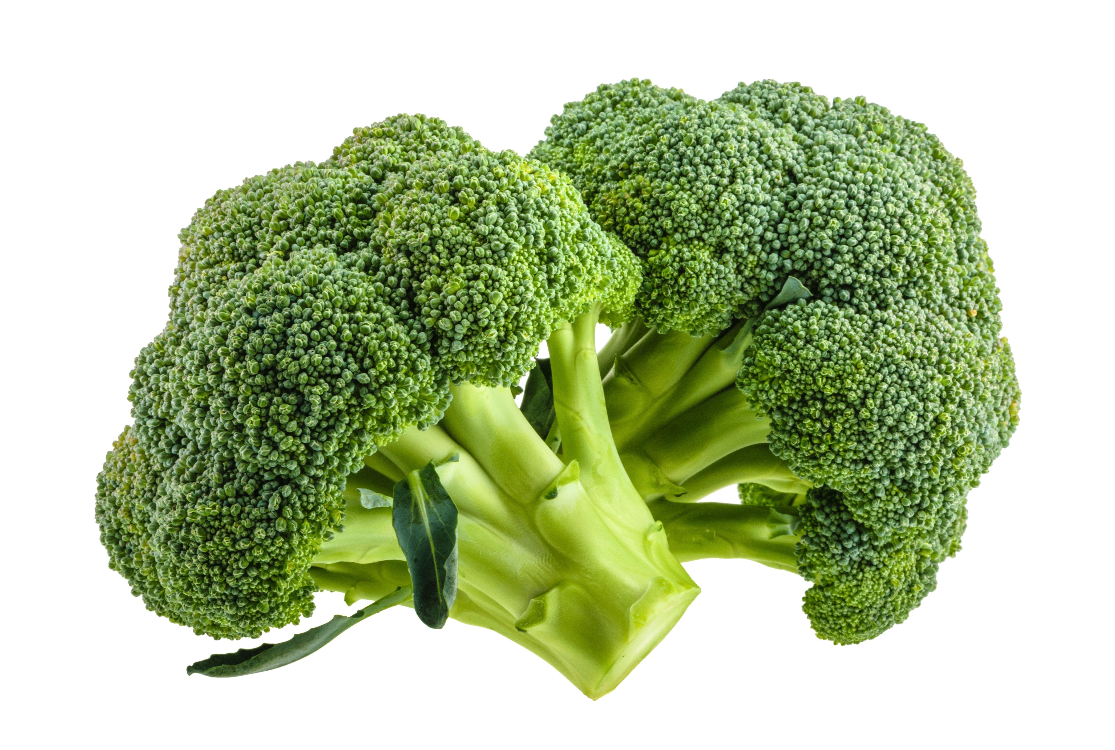 Broccoli