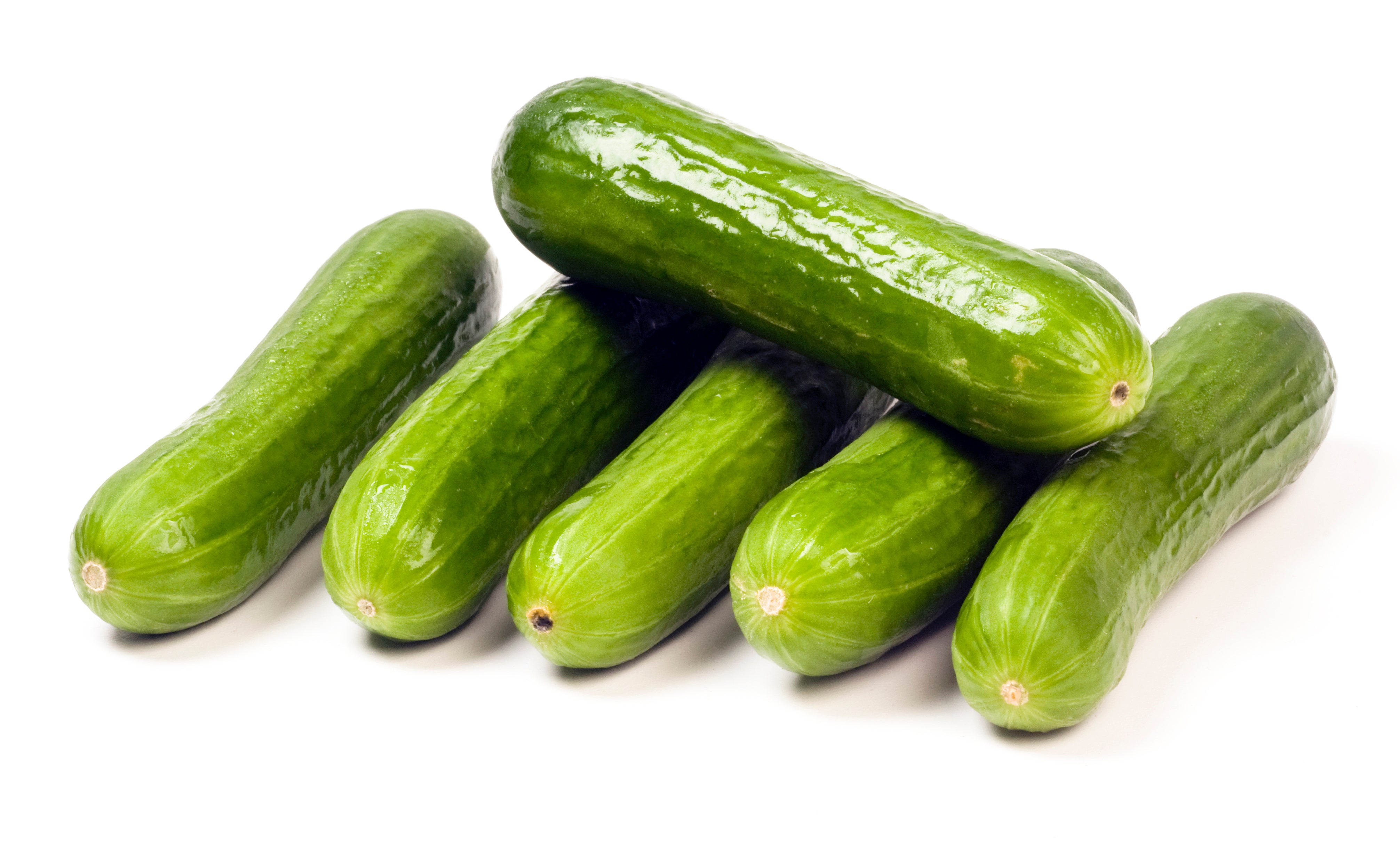 Persian Cucumber