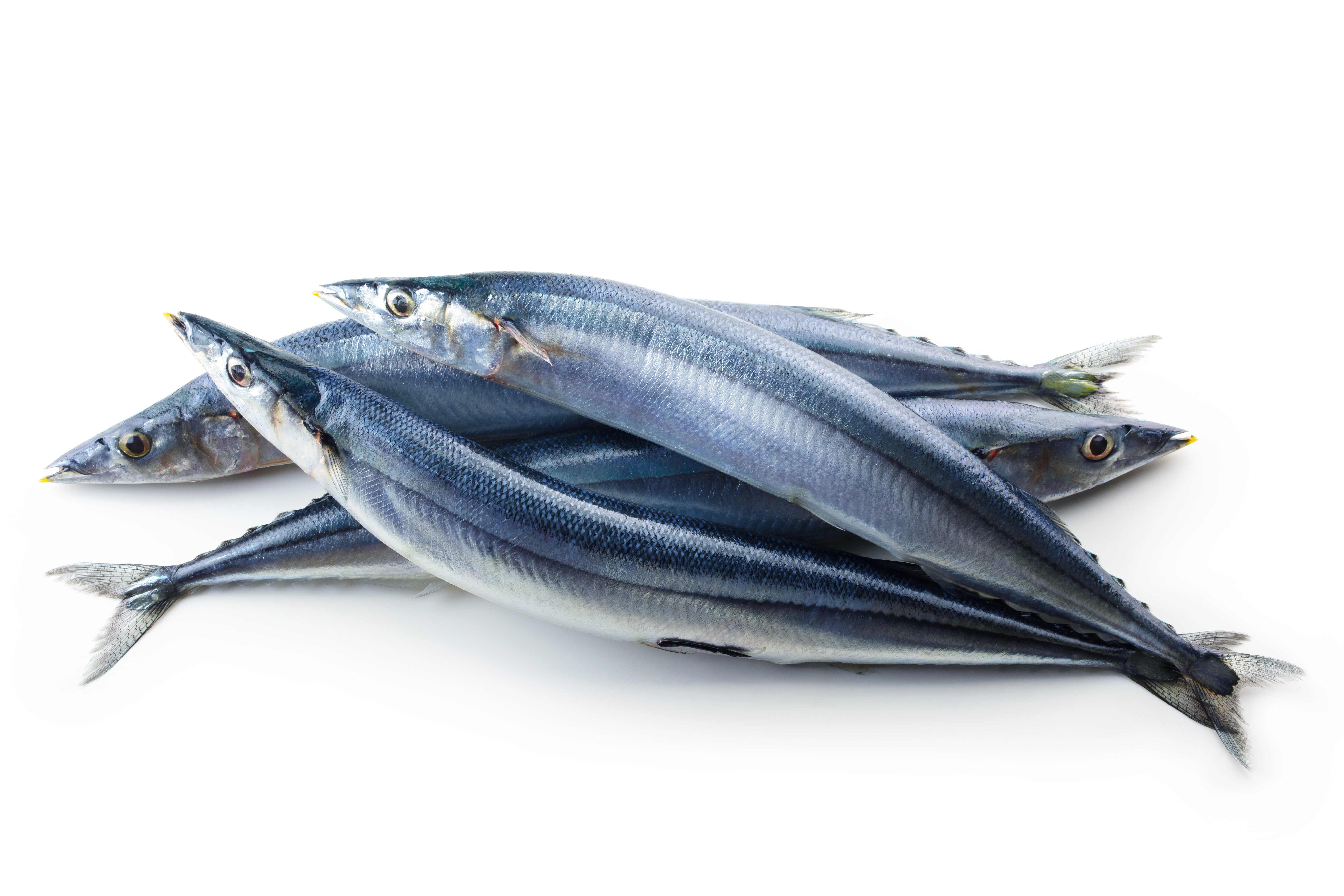 Pike Mackerel (Sanma) 2PC