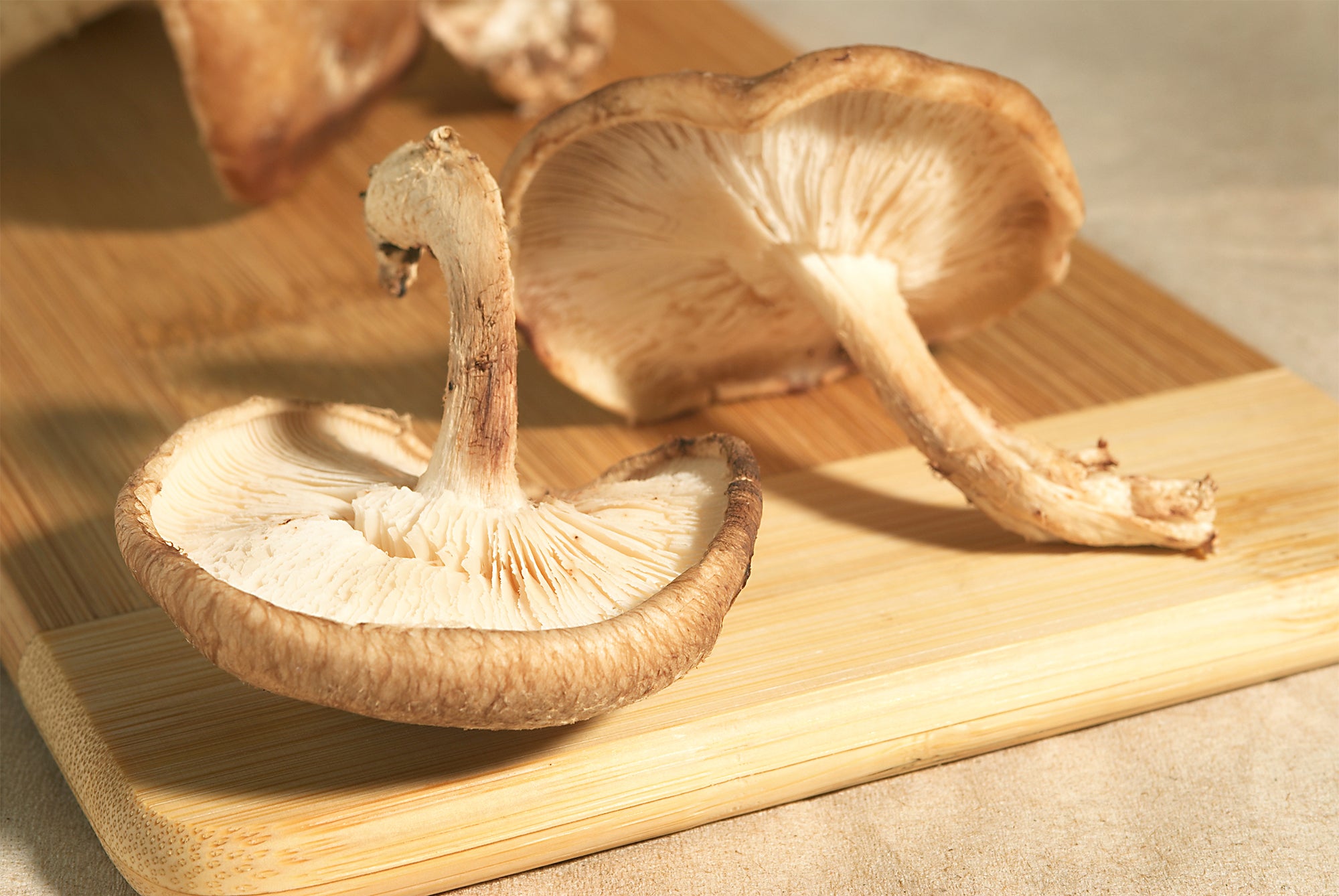 Shiitake #1 Mushrooms