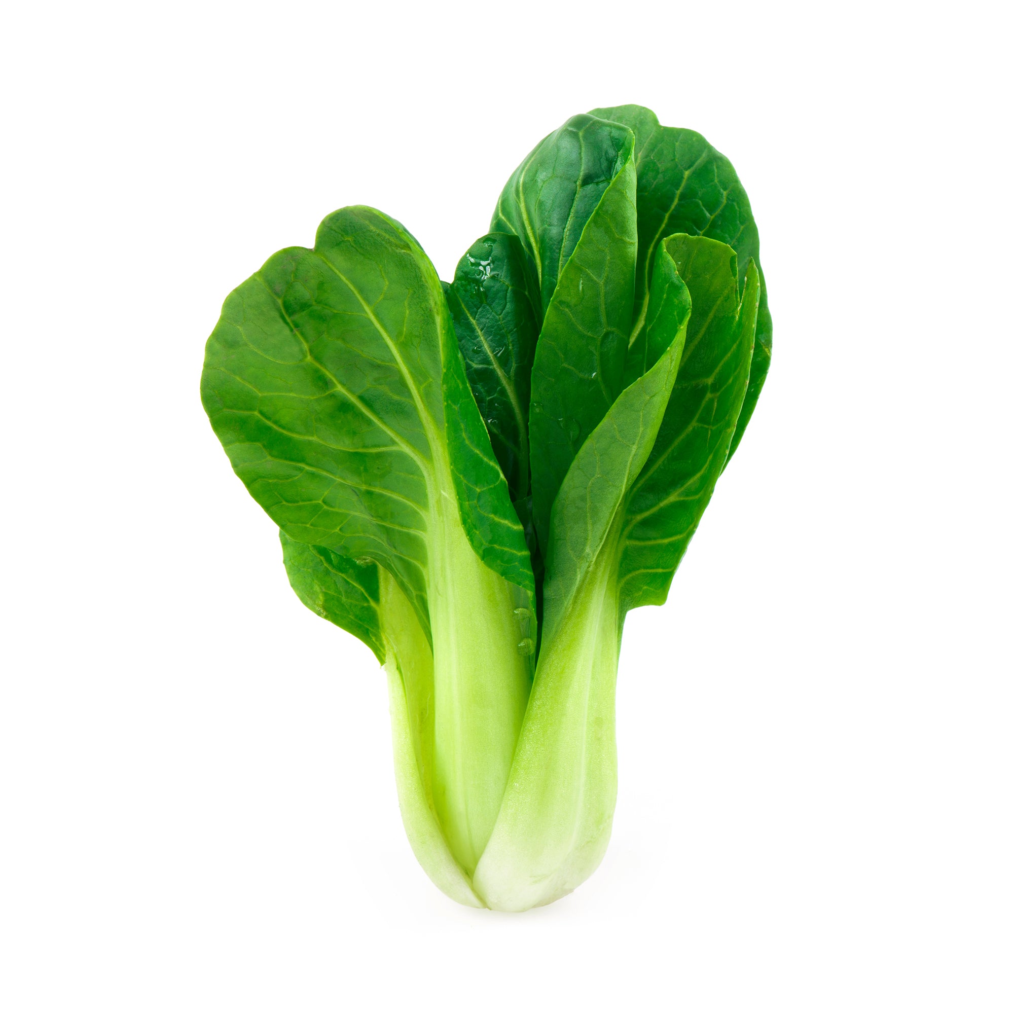 Shanghai Bok Choy