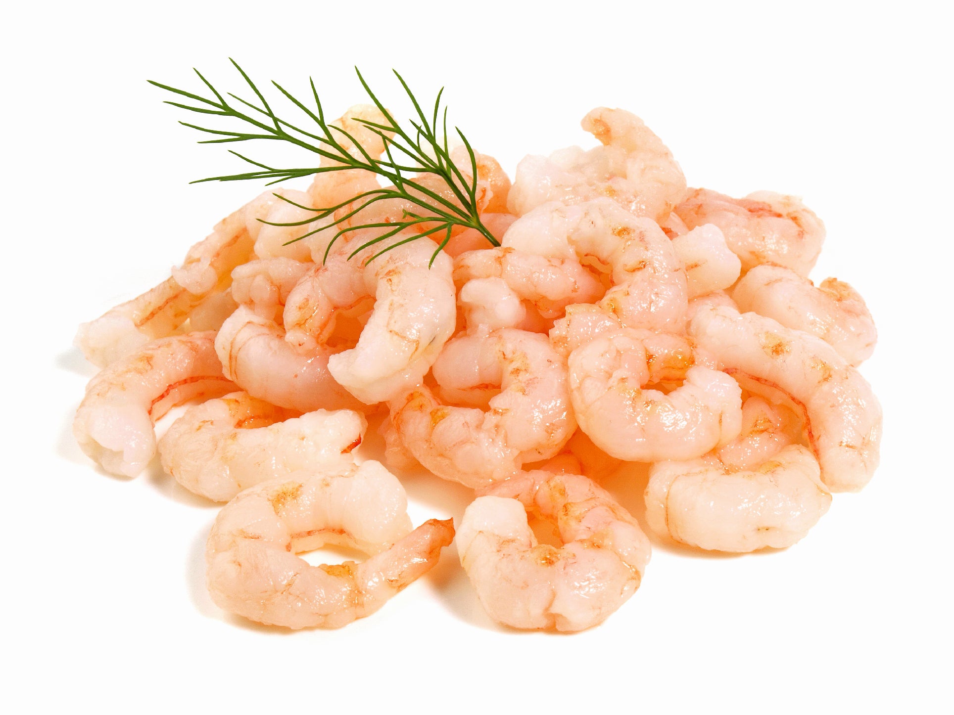 Shrimp with Tail Cooked
