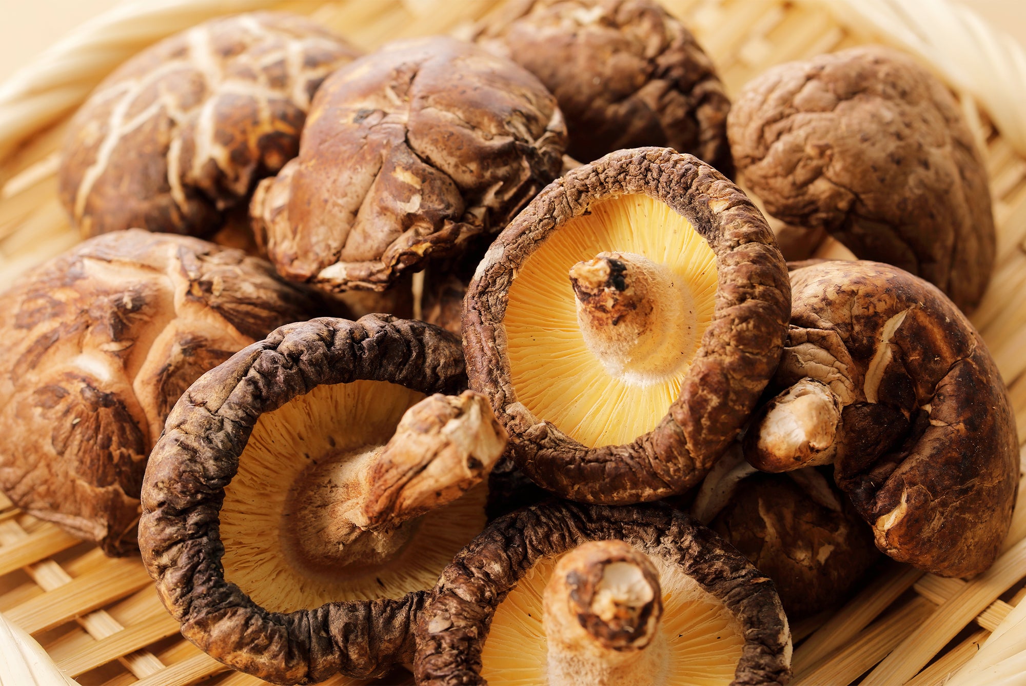 Shiitake #2 Mushrooms