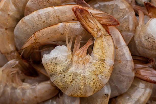 Shrimp Headless