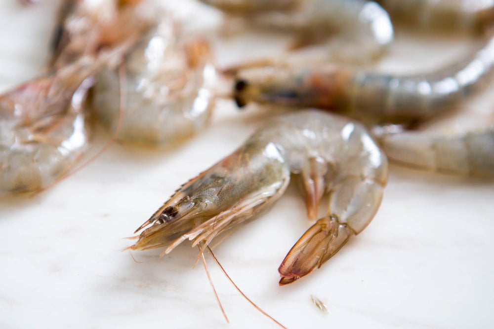 Shrimp with head