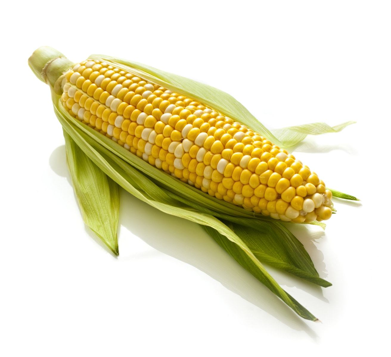 Corn