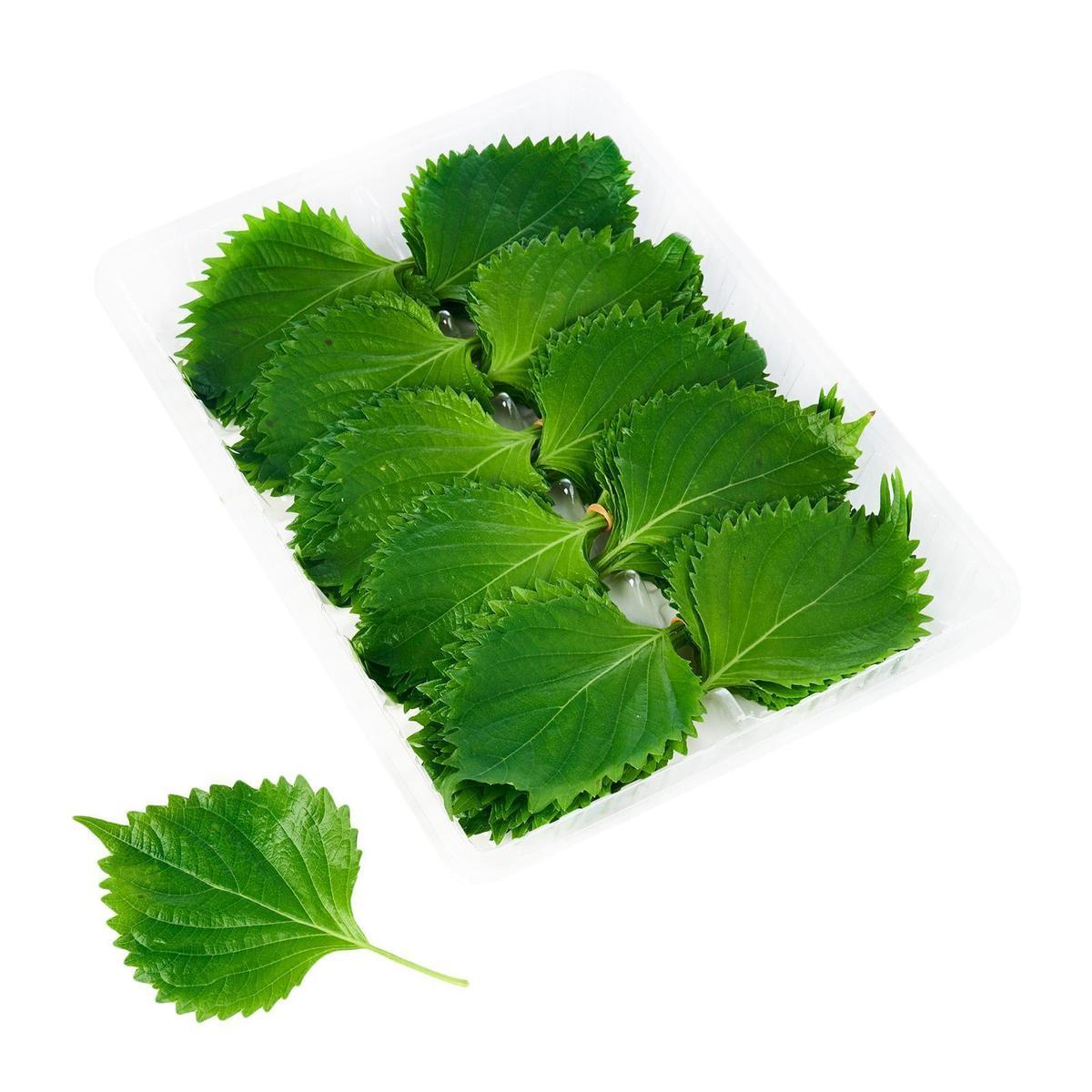 Shiso Leaves (Ohba)